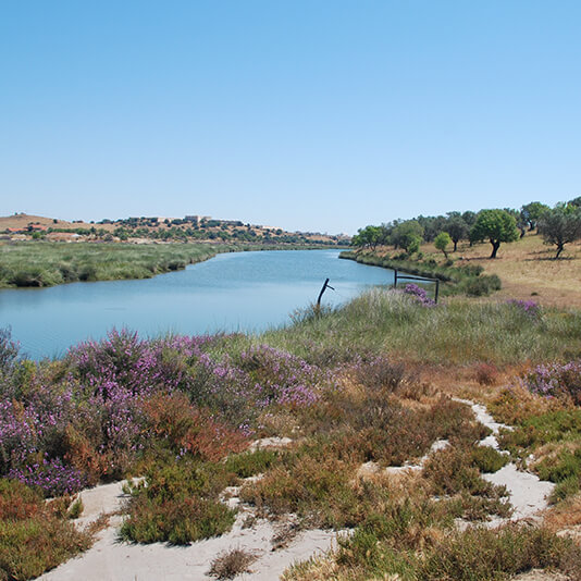 Paisagem algarvia