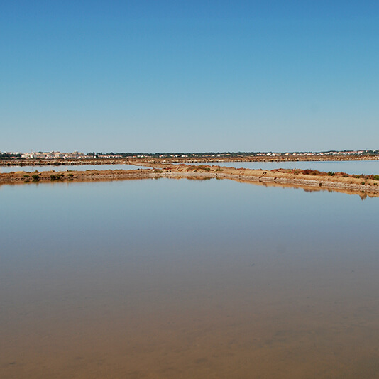 Salinas de Castro Marim